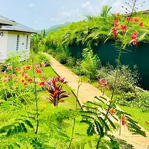 Le Jardin Zen Hébergement de vacances Bouillante