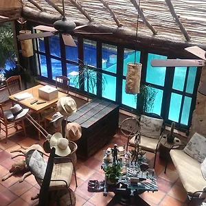 Jungle Aeropuerto Séjour chez l'habitant Cancún